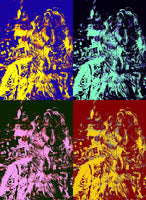 Girl With Ponytail Warhol